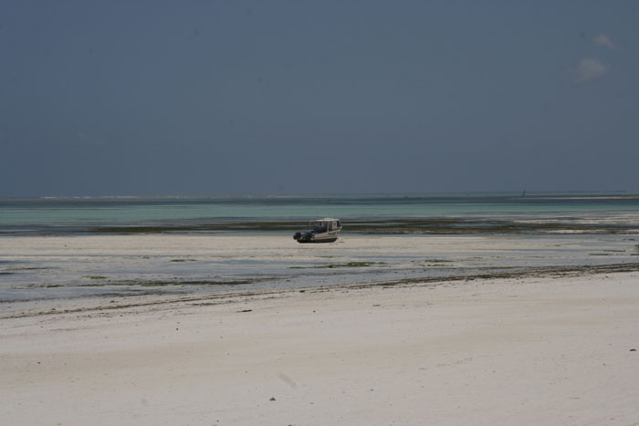 051_Sansibar_297_10112007