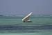 001_Sansibar_125_10082007