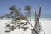 041_Sansibar_491_10142007
