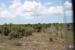 096_Sansibar_364_10122007