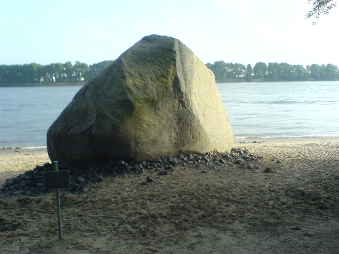 DSC05965