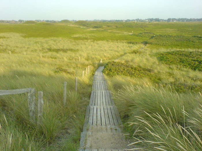 DSC05977