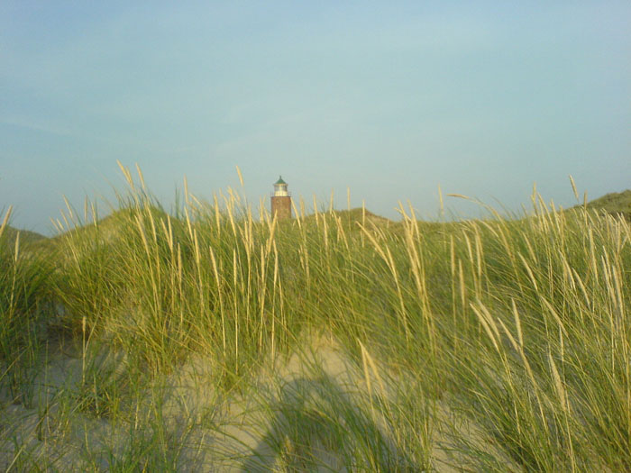 DSC05981