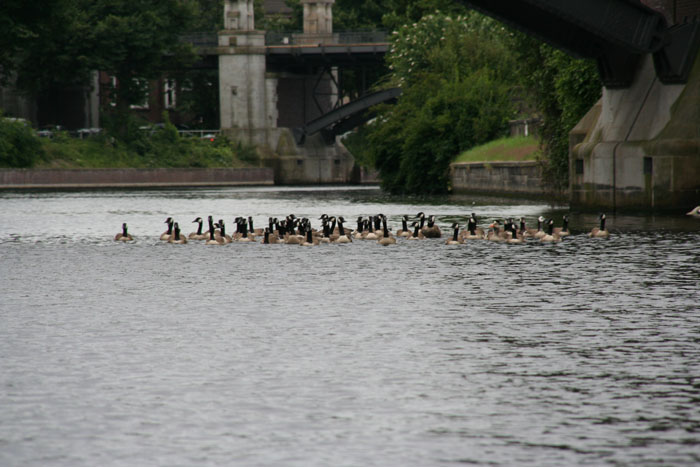 Hamburg_2007 189 07092007