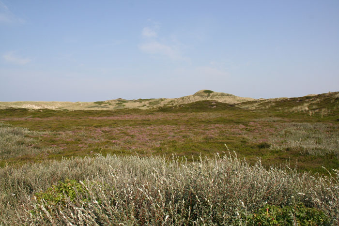 Sylt_2007 075 07162007