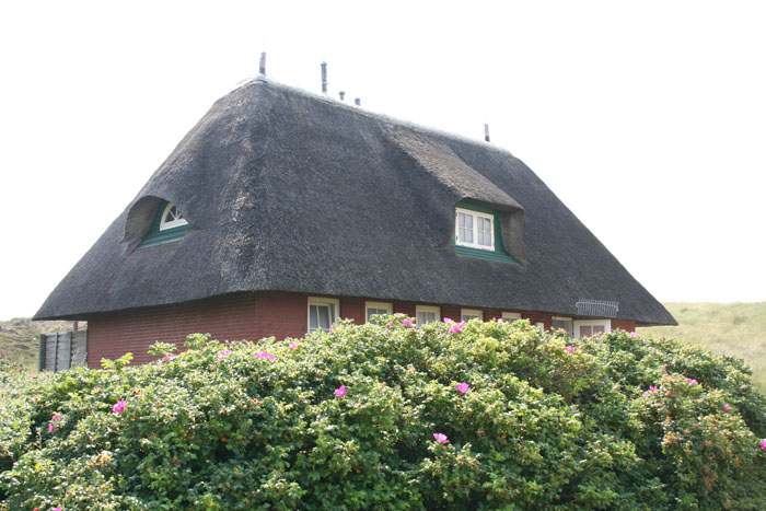 Sylt_2007 079 07162007
