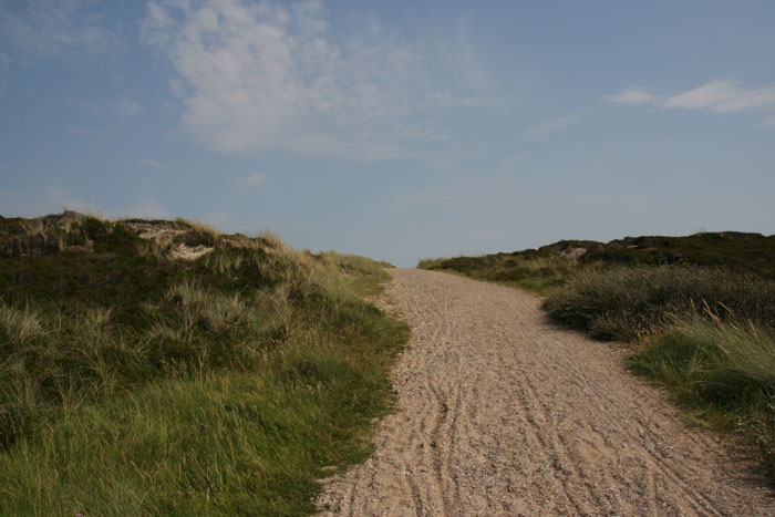 Sylt_2007 093 07162007