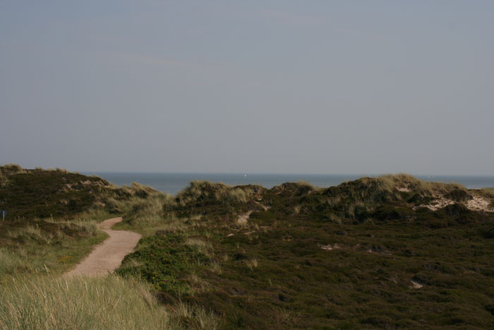 Sylt_2007 101 07162007