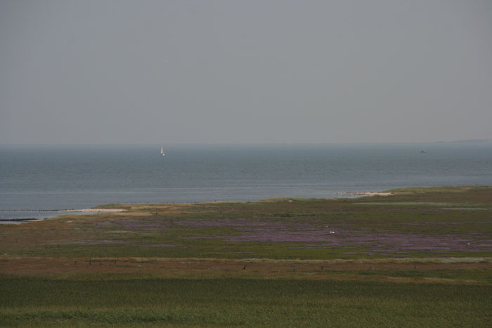 Sylt_2007 107 07162007