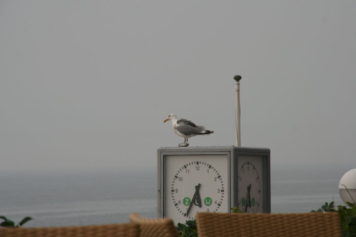 Sylt_2007 124 07162007