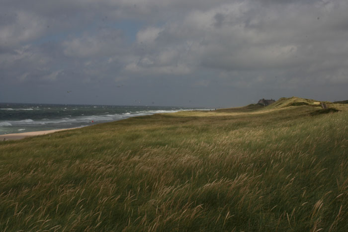 Sylt_2007 149 07172007