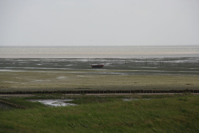 Sylt_2007 166 07172007