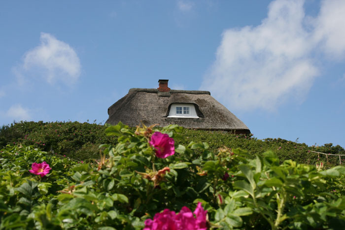 Sylt_2007 177 07172007