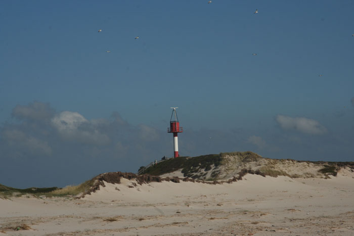 Sylt_2007 335 07172007