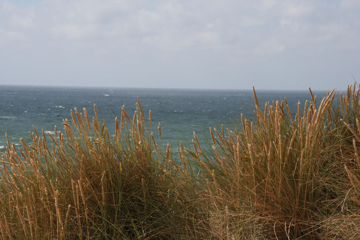 Sylt_2007 387 07182007