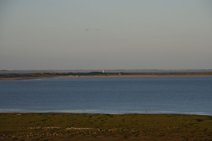 Sylt_2007 473 07192007