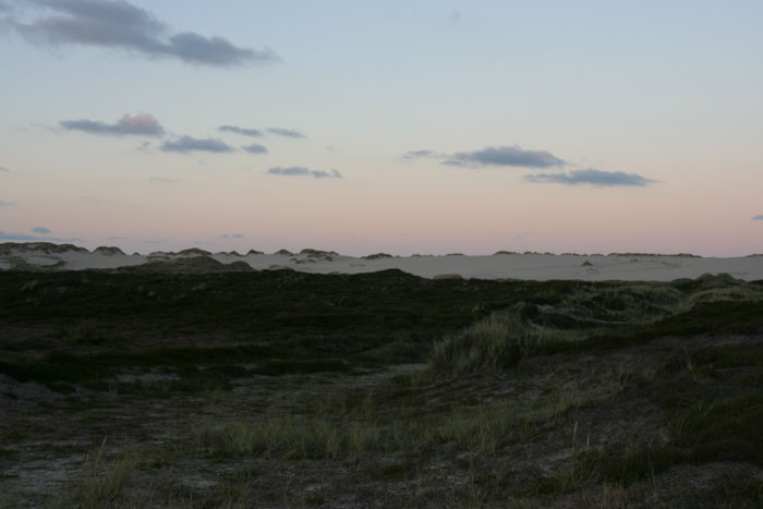 Sylt_2007 494 07192007