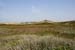 Sylt_2007 075 07162007