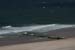 Sylt_2007 133 07172007