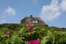 Sylt_2007 177 07172007