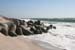 Sylt_2007 269 07172007
