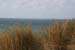 Sylt_2007 387 07182007