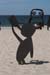 Sylt_2007 508 07202007