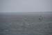 Sylt_2007 534 07212007