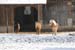 Weihnachten 2007_0725#A4375